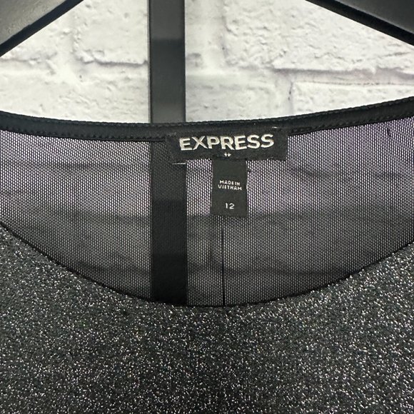 Express Sheer Shimmer Dress - NWT - Picture 3 of 5